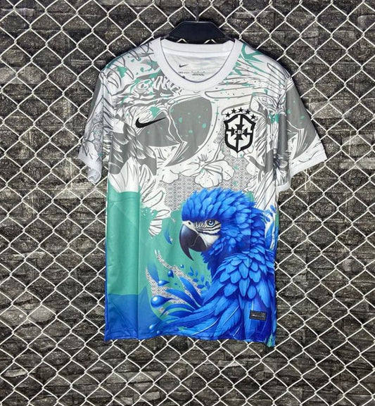 Brazil 25/26 special edition jersey